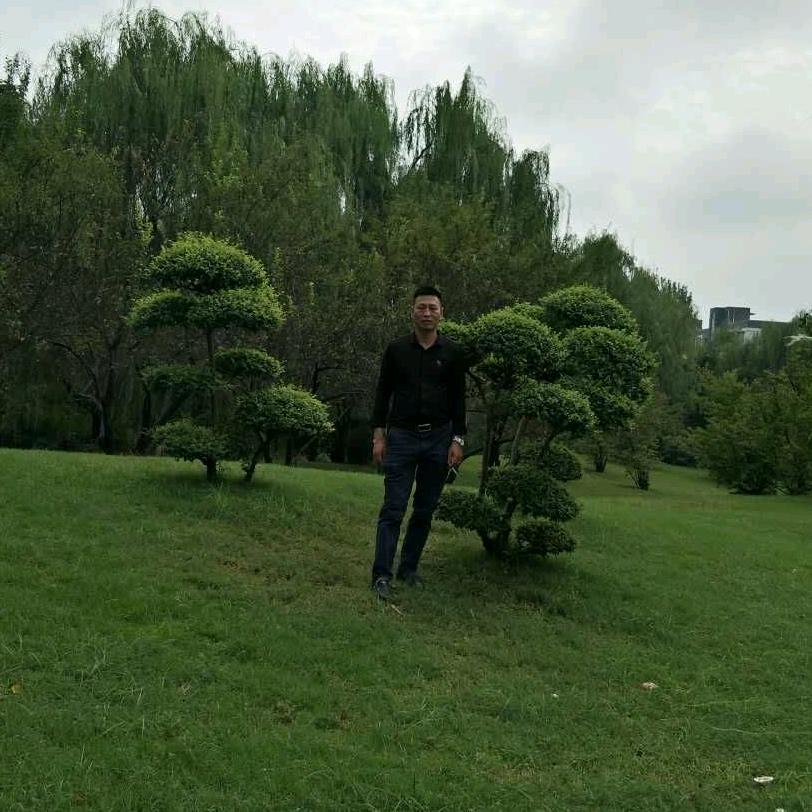 王者荣耀💰💰💰