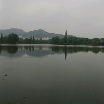 或许，已成习惯