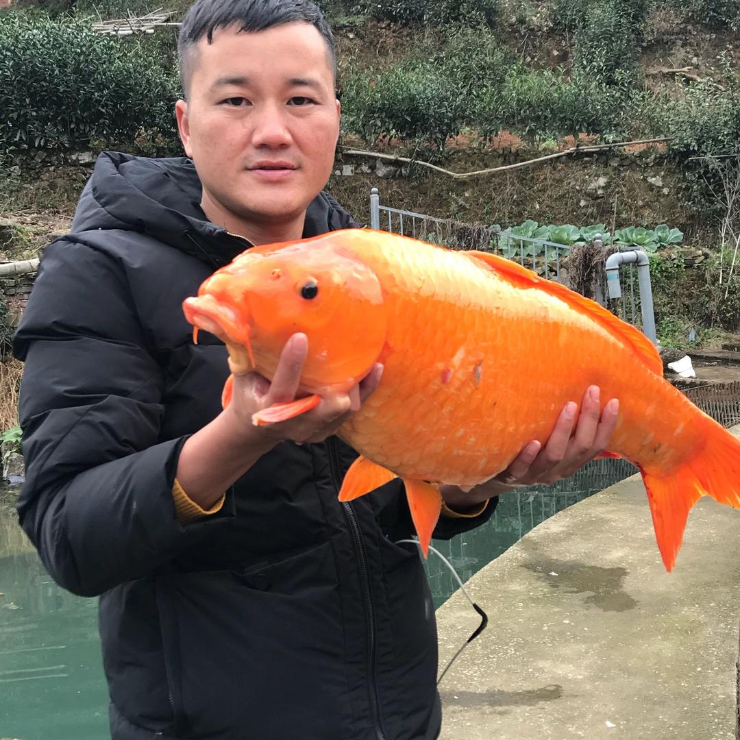 户外钓鱼直播（浪五）