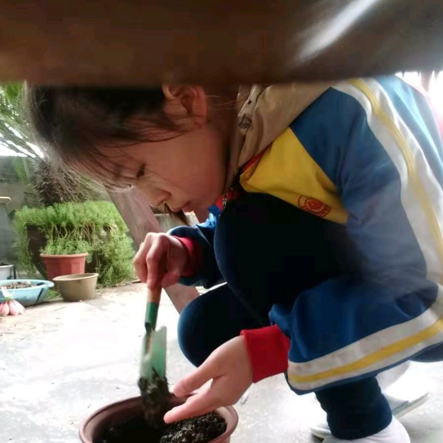 糖糖