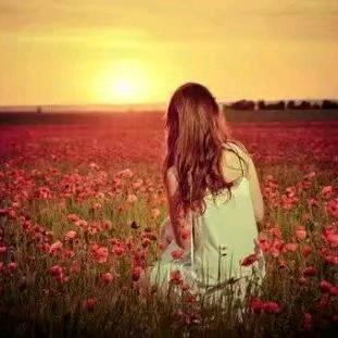 人间清醒的寿司