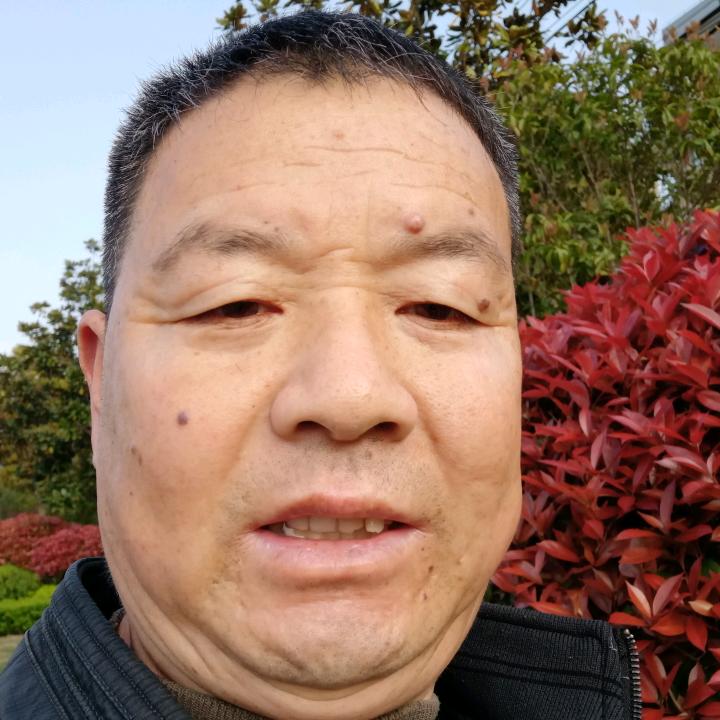 老四