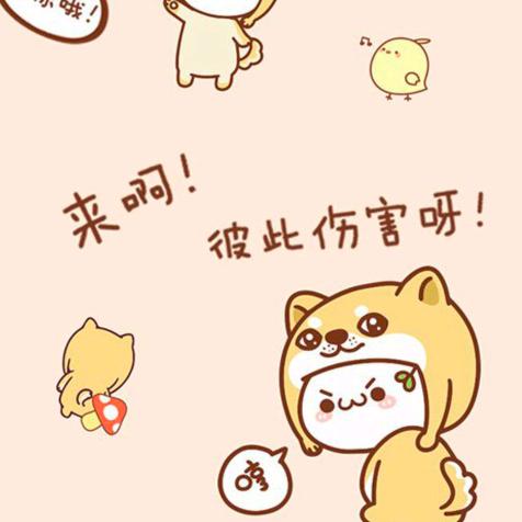 涛哥