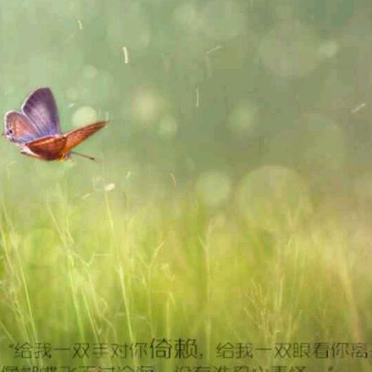 虎哥