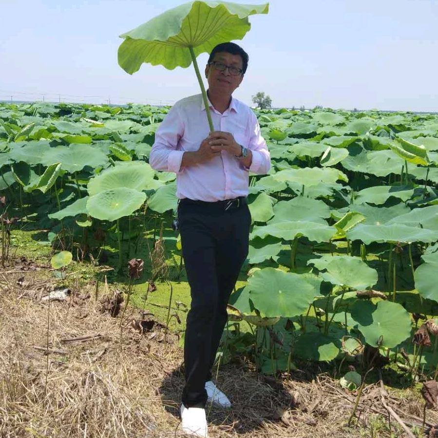 渡红尘