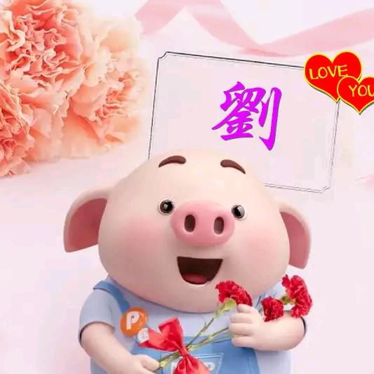 平安🇨🇳喜乐