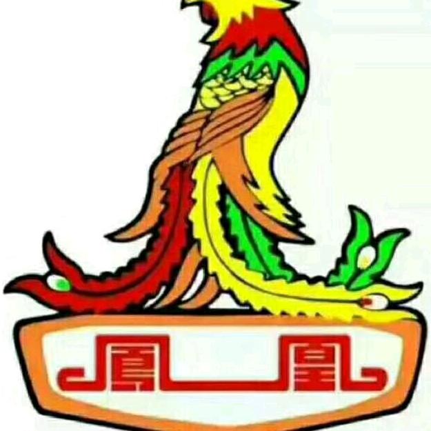 无锡国凤电动车