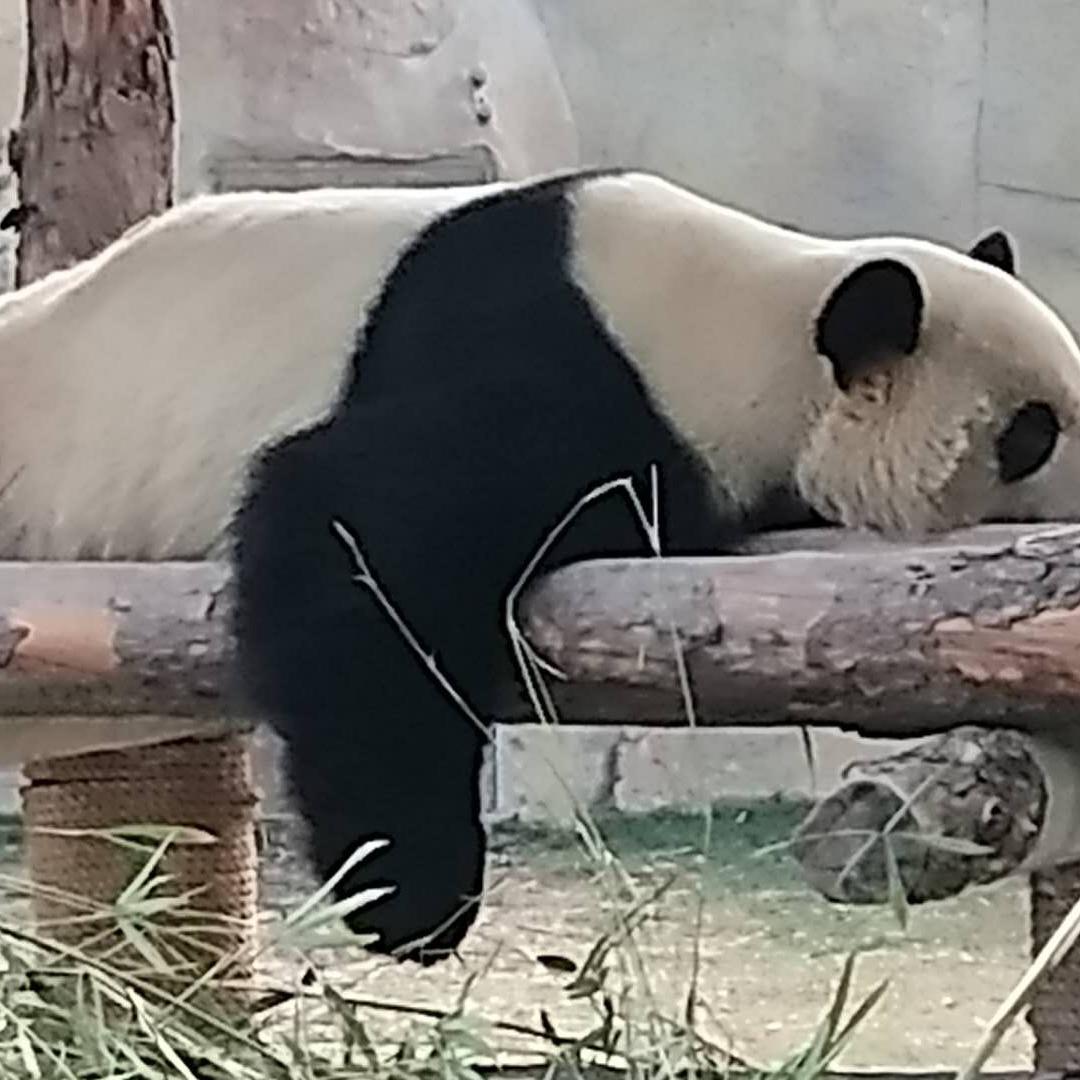 知足常乐
