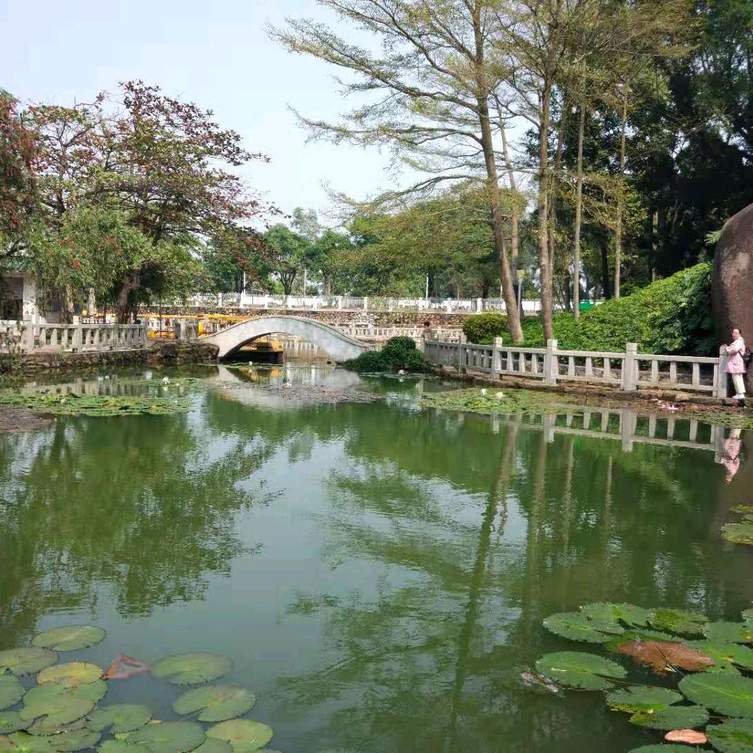 紫水晶