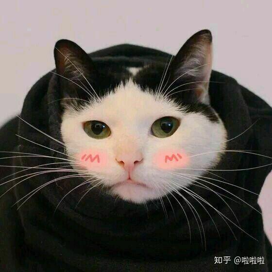 🌈不是一般人