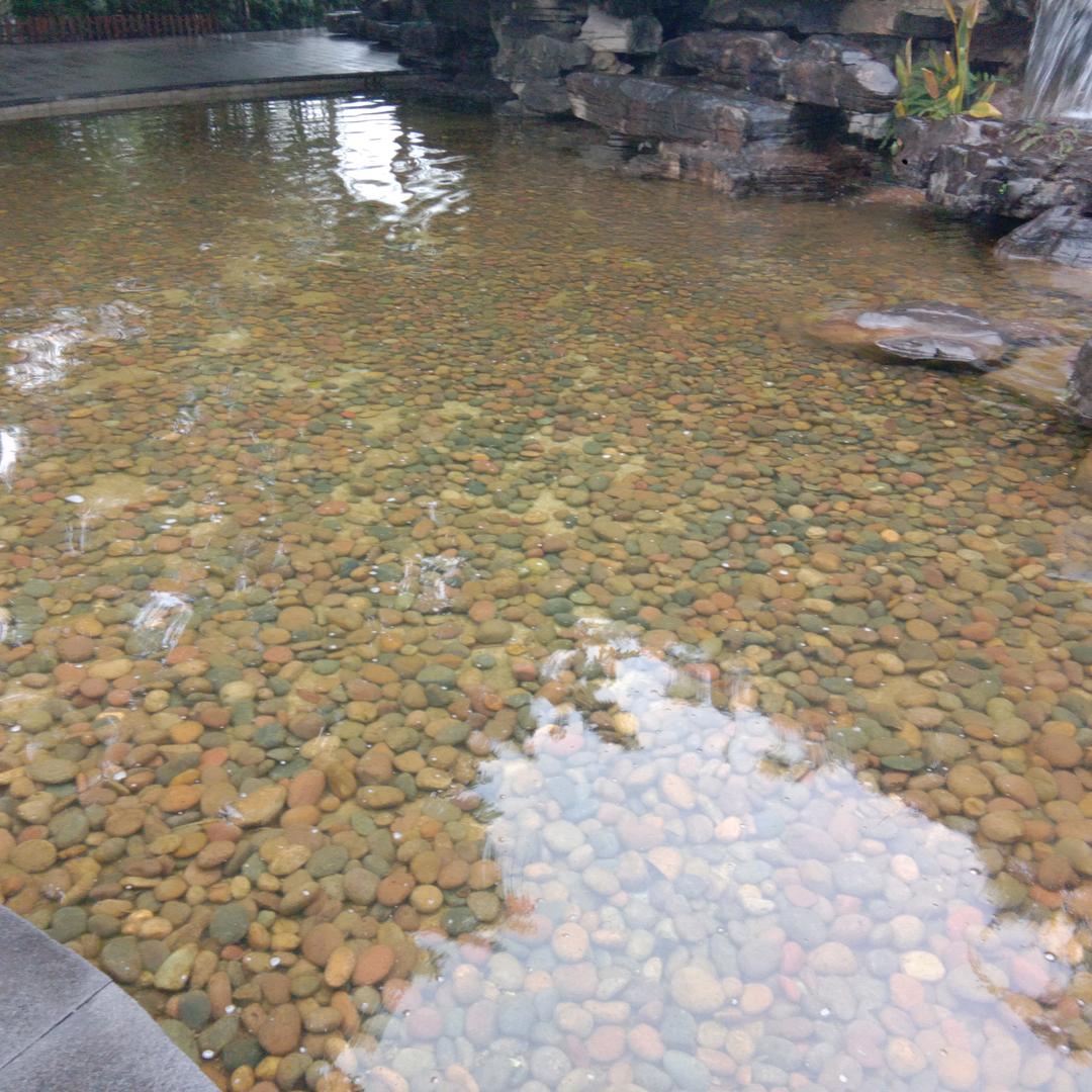 ღ᭄①生①世🍒十里花香💞