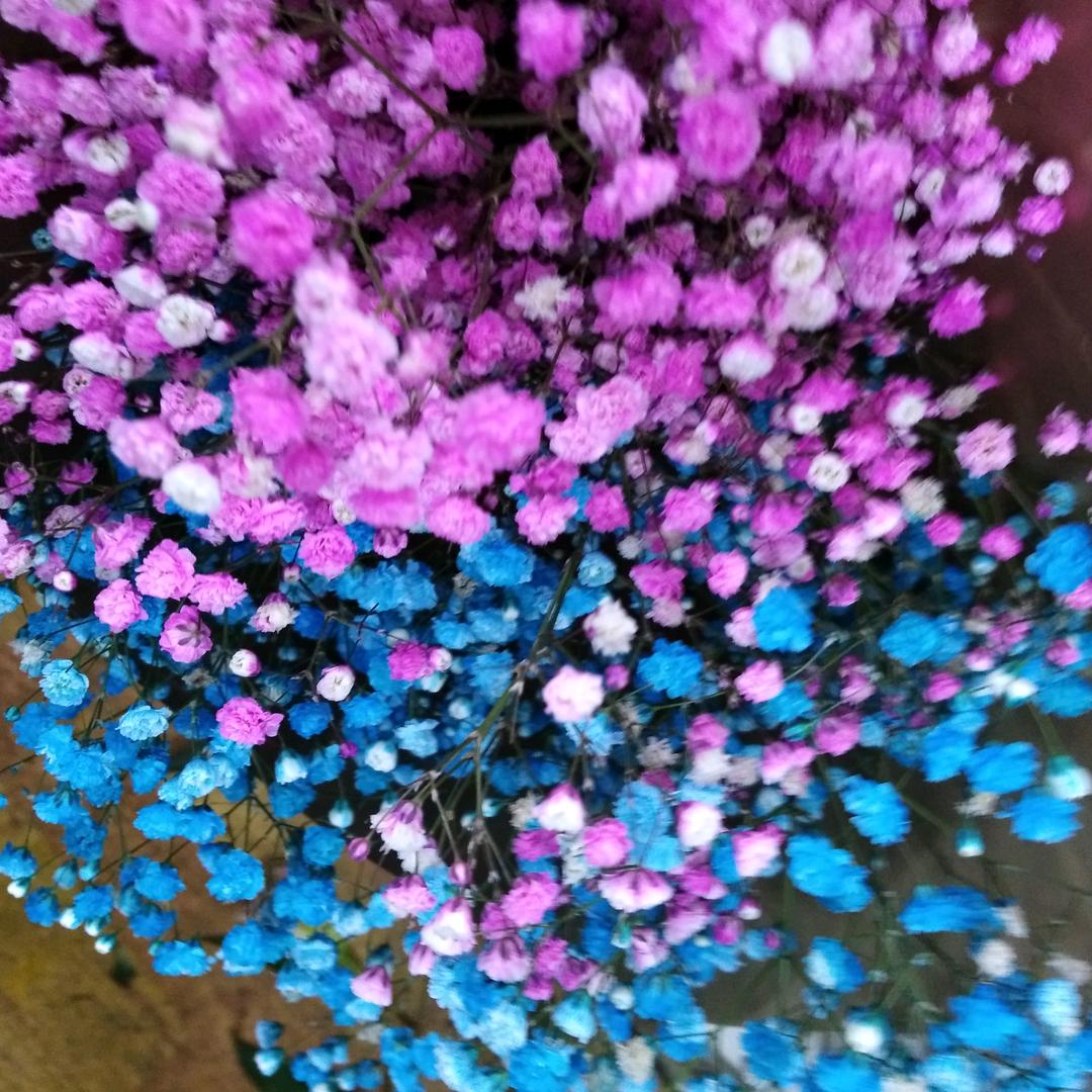 落雨的秋冬