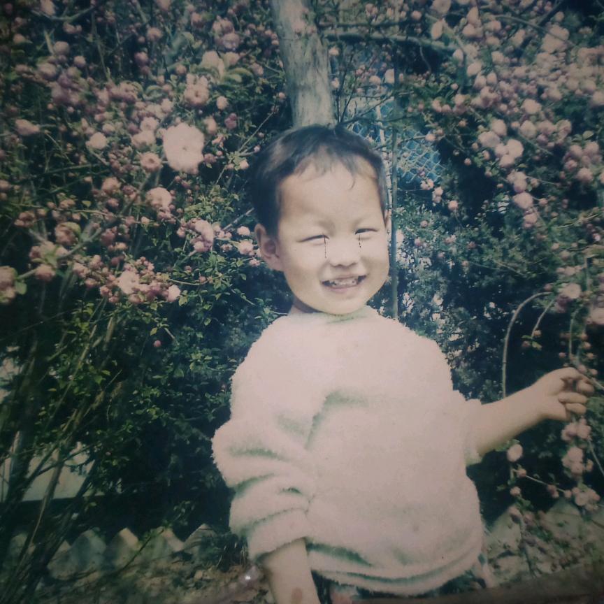 静姐———（小丸子）