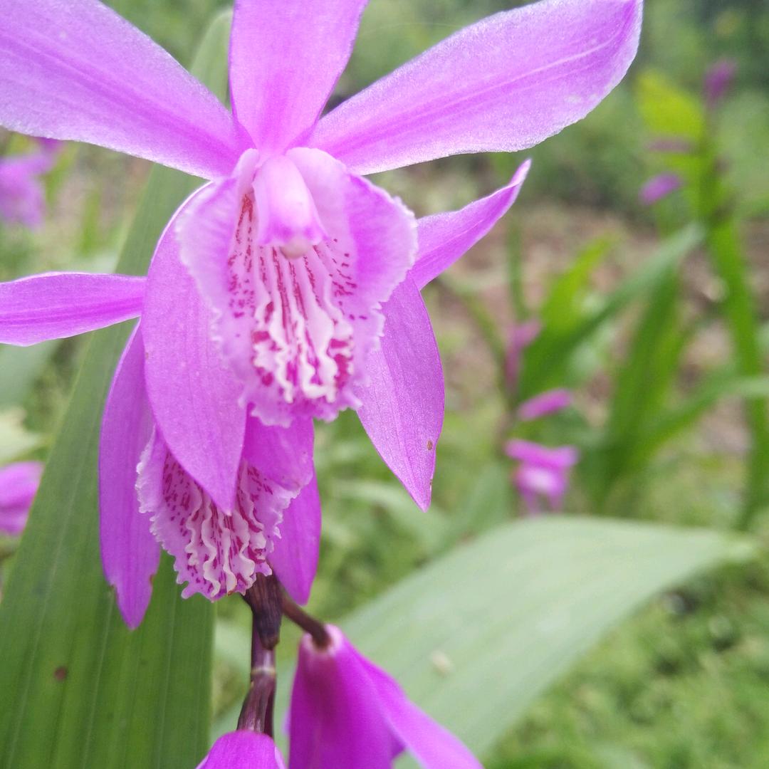 @顺其自然七四十月🐯