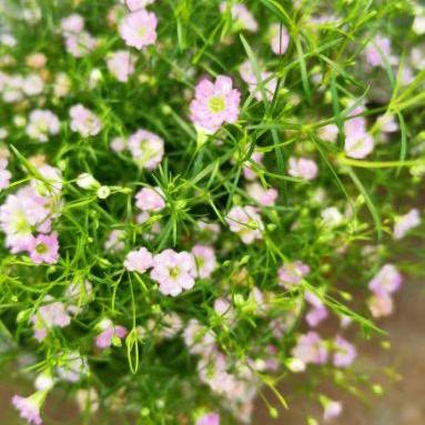 请叫我小霸王😎