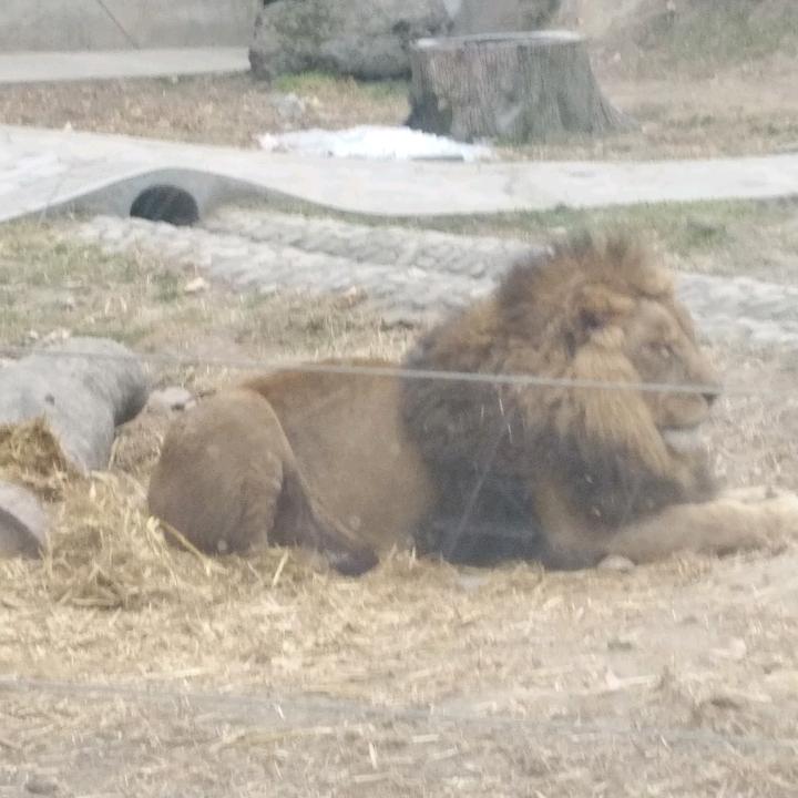 一生半途
