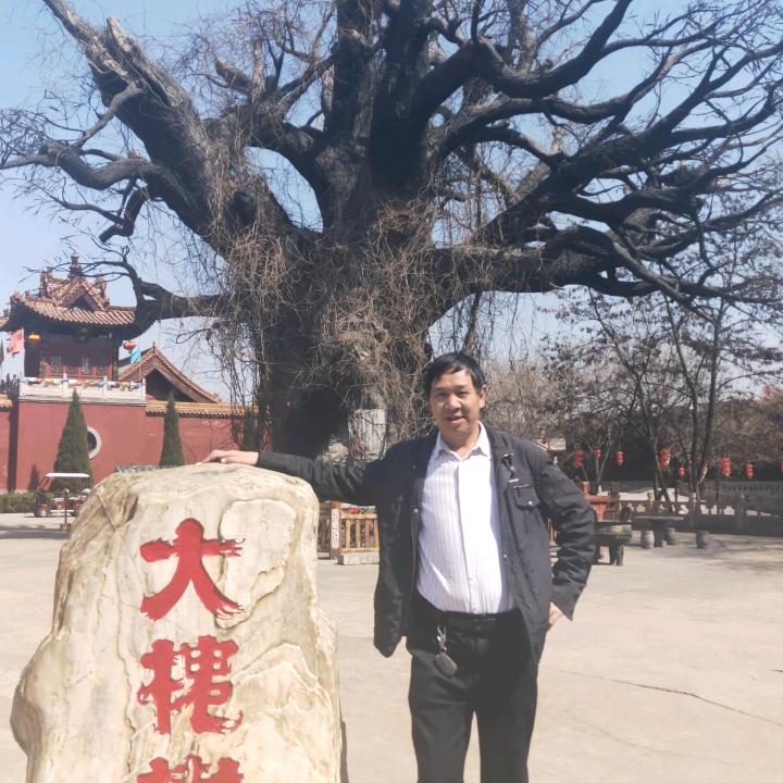 爬上墙头等待红杏出墙