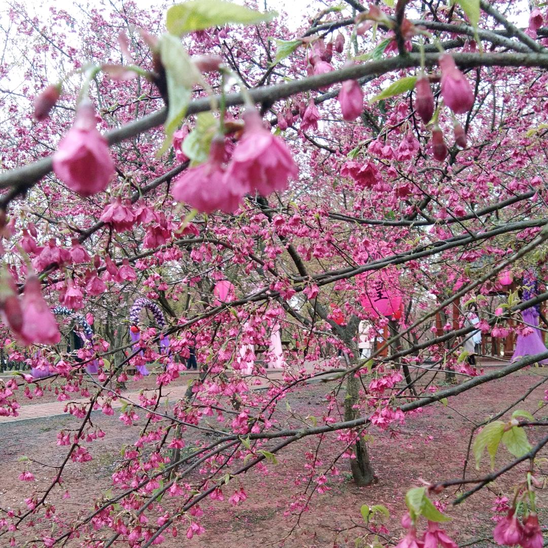 独一无二的好菇凉👧💗