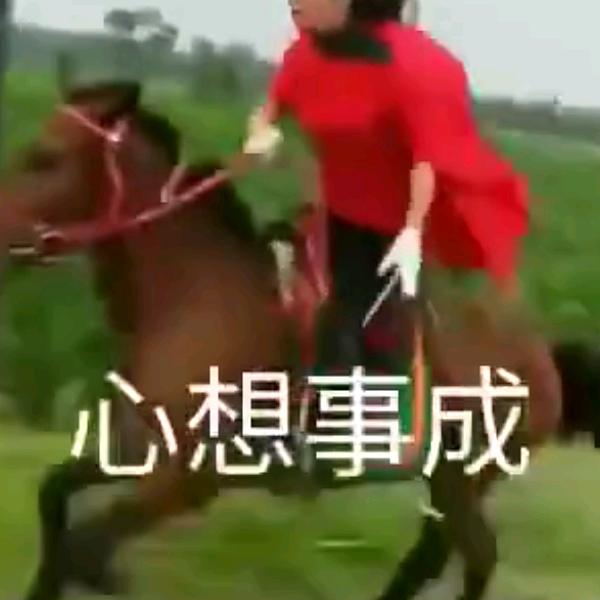 万事如意✊