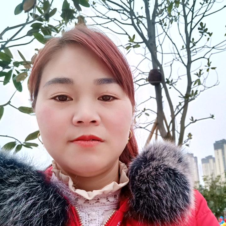 曹英香