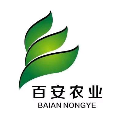 百安（库森）农业草莓育苗基地