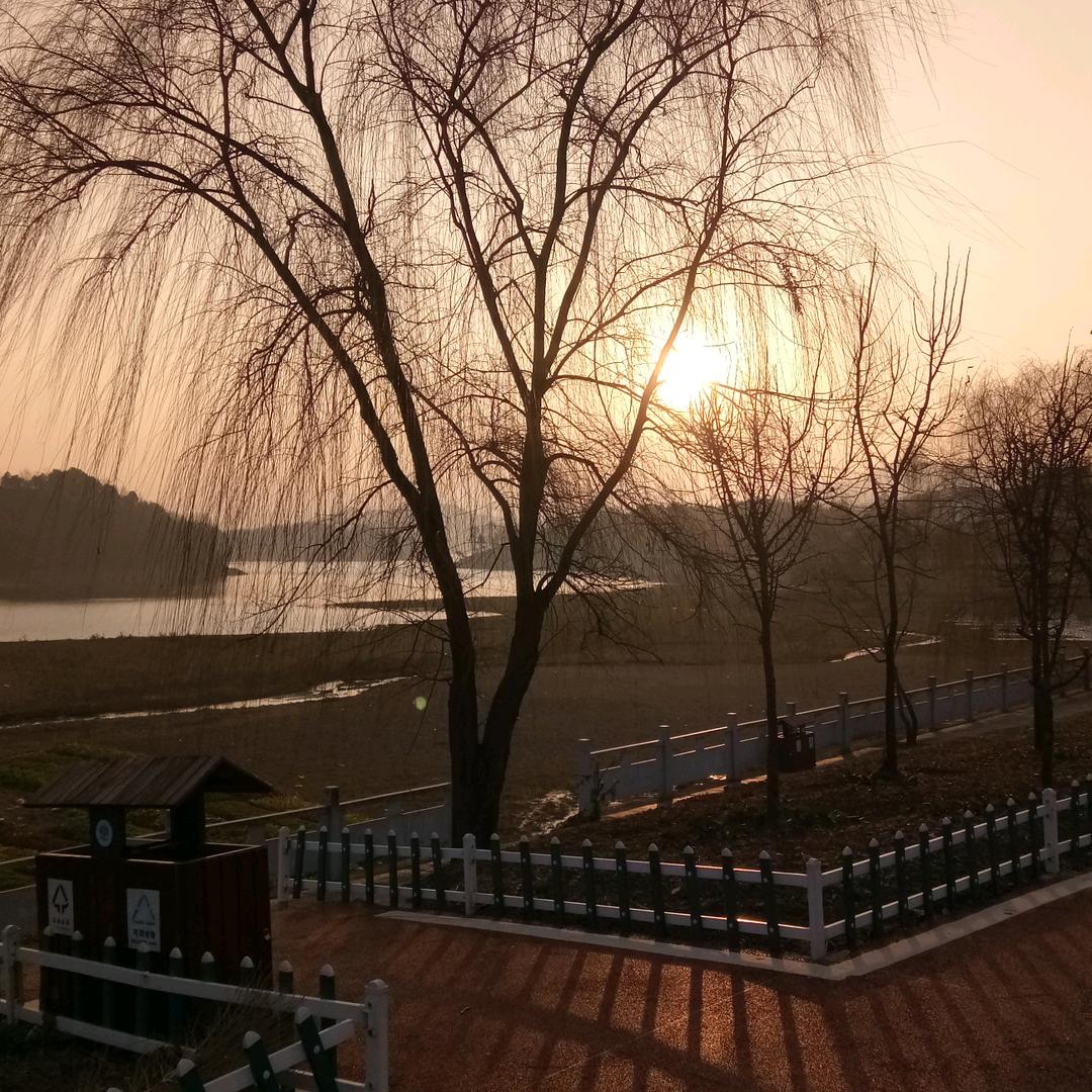 大哥哥[红茶研坊]