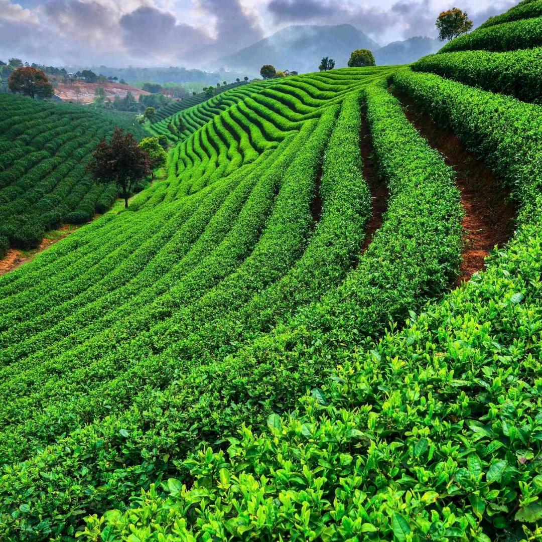 ꧁༺自༒渡༻꧂