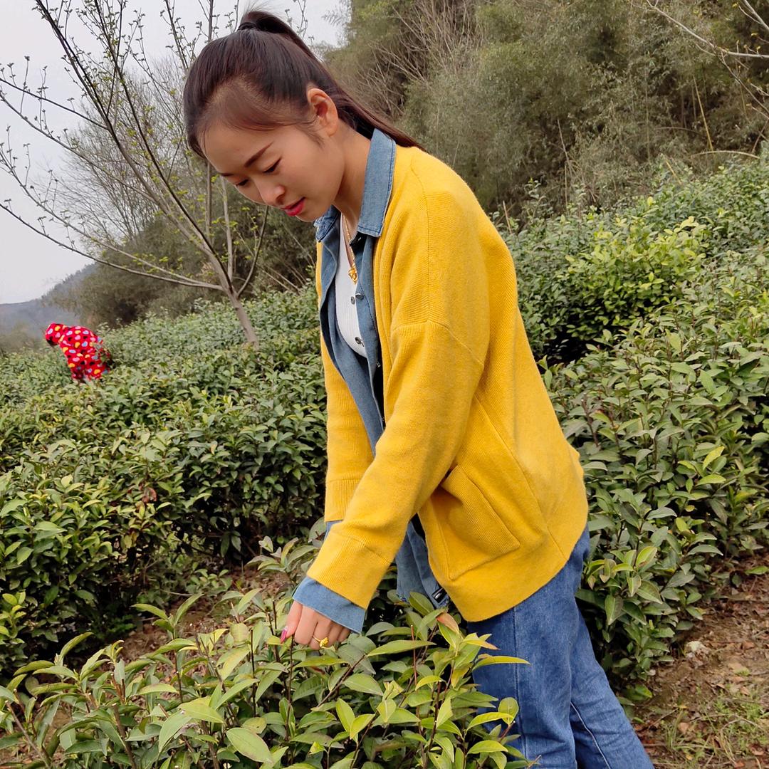徽姑娘茶园