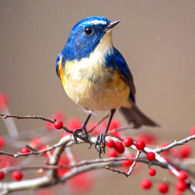 用户725260978073根石园