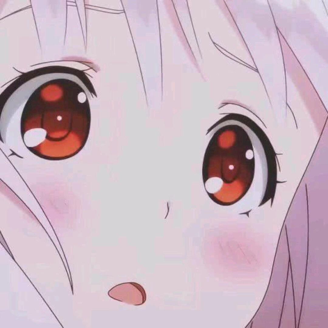 一只幸运🌟