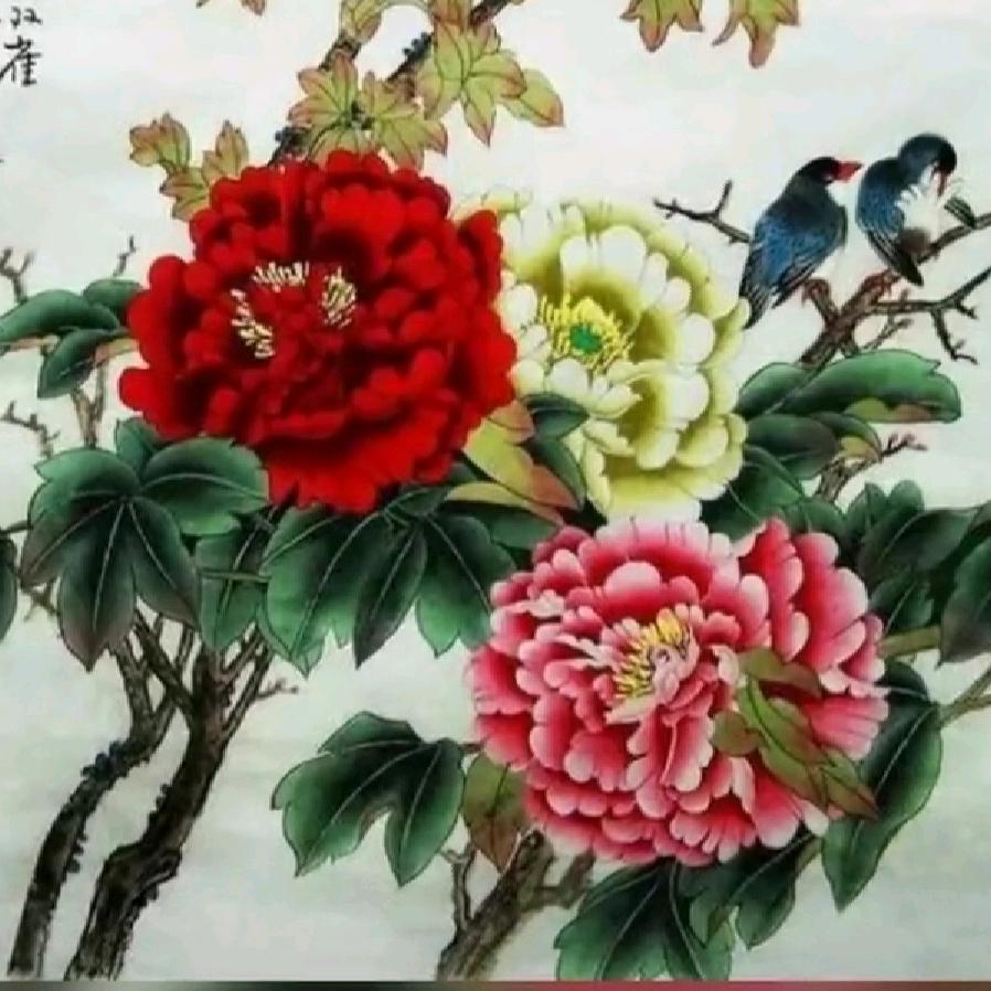 玉儿姐