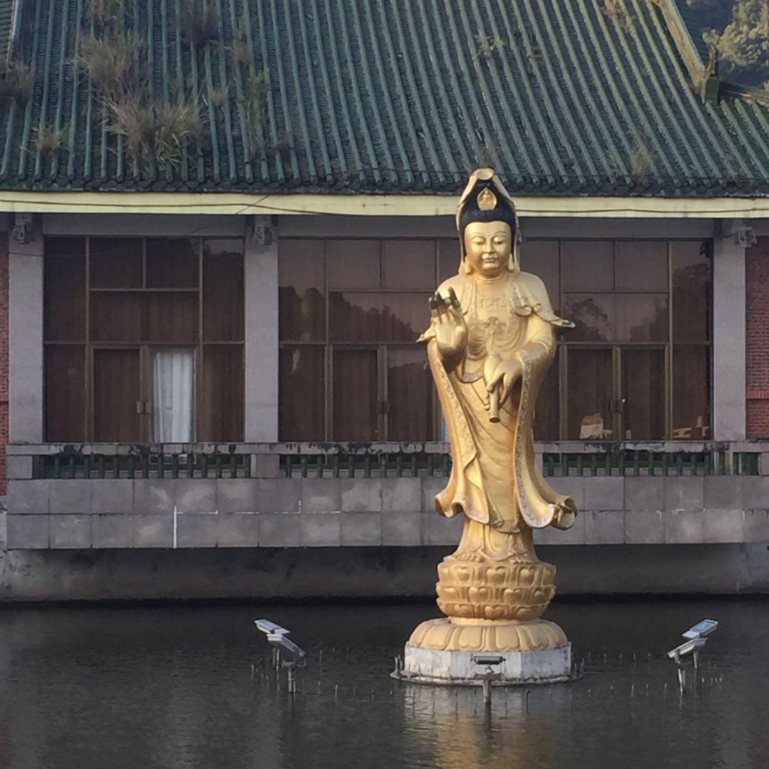 假老板