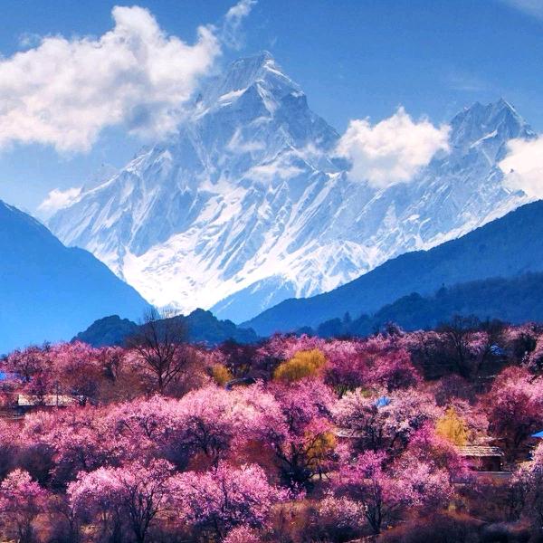 现在的我