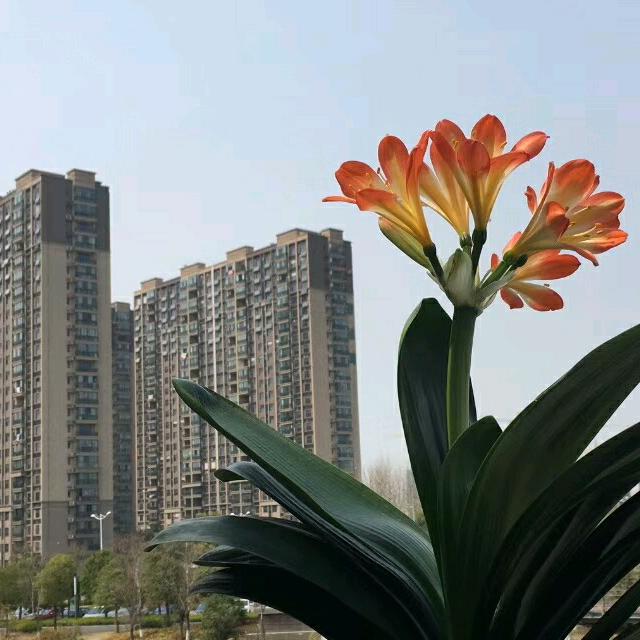 唯一🌺