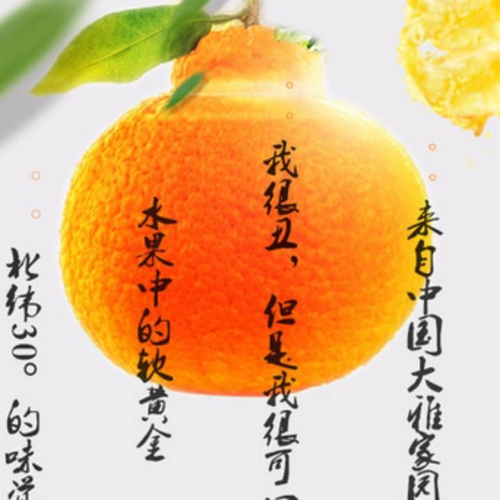 橘橙