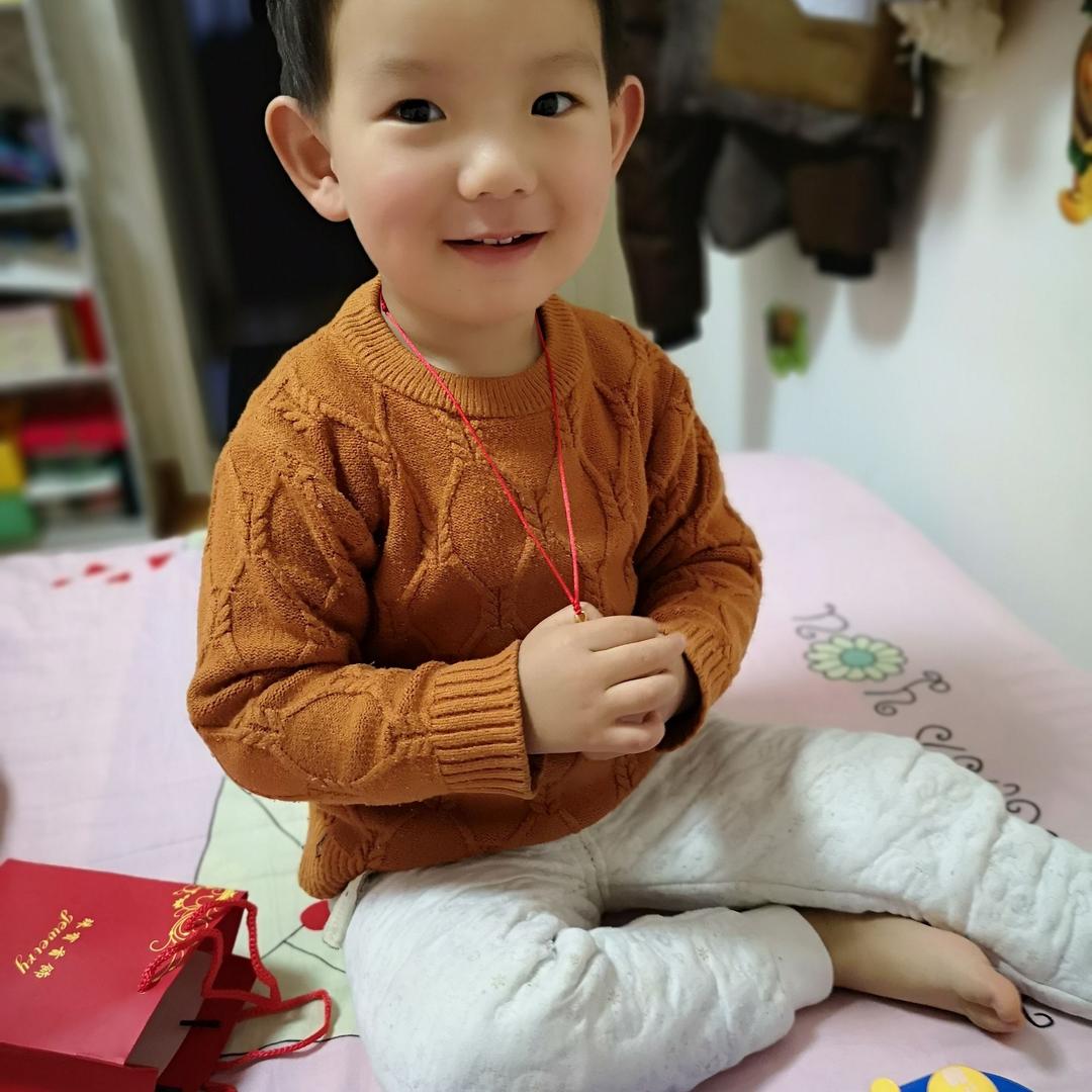 白天鹅