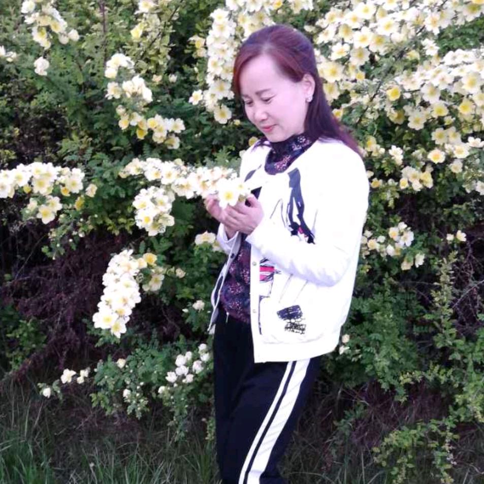 用户6437754029213燕子