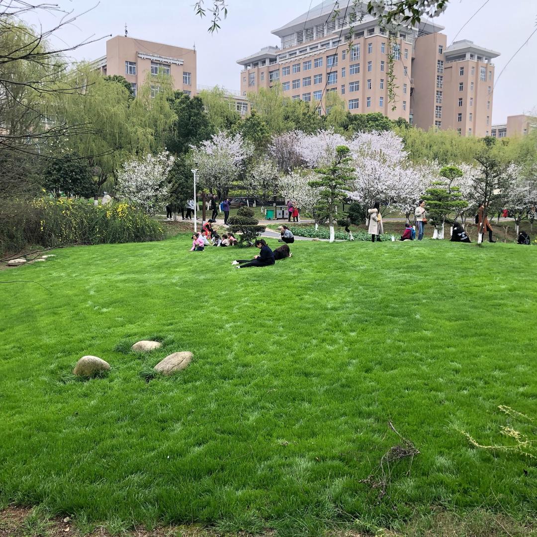 风很快乐