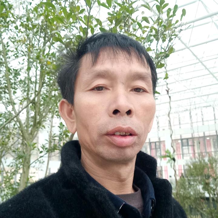 王芳美