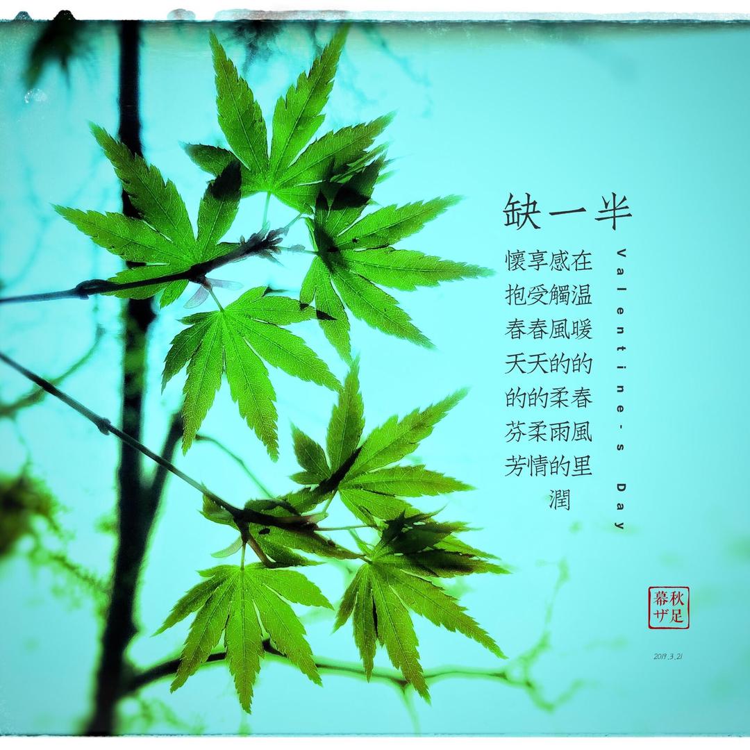 ❄️ 冰吻·深鲸FM