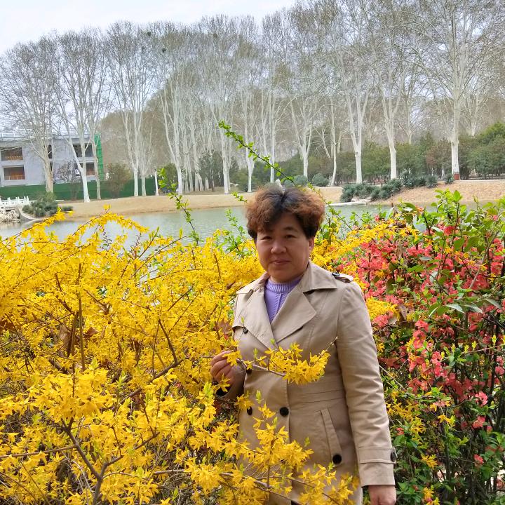 枫林如笛