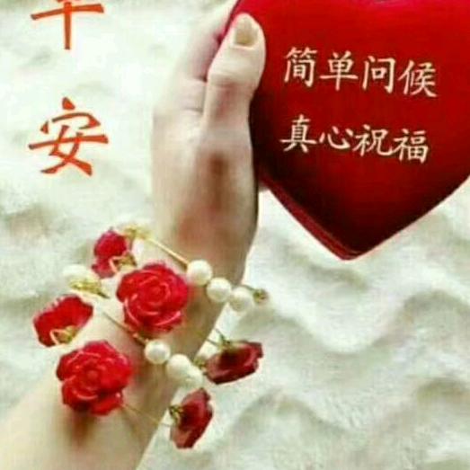 开开心心美一天