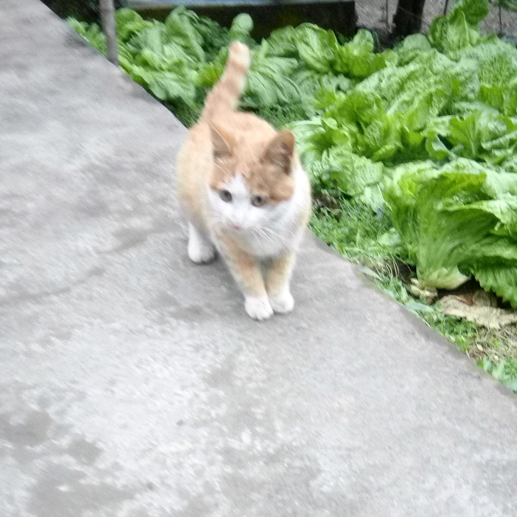 一生想你﹤拒绝连赞>