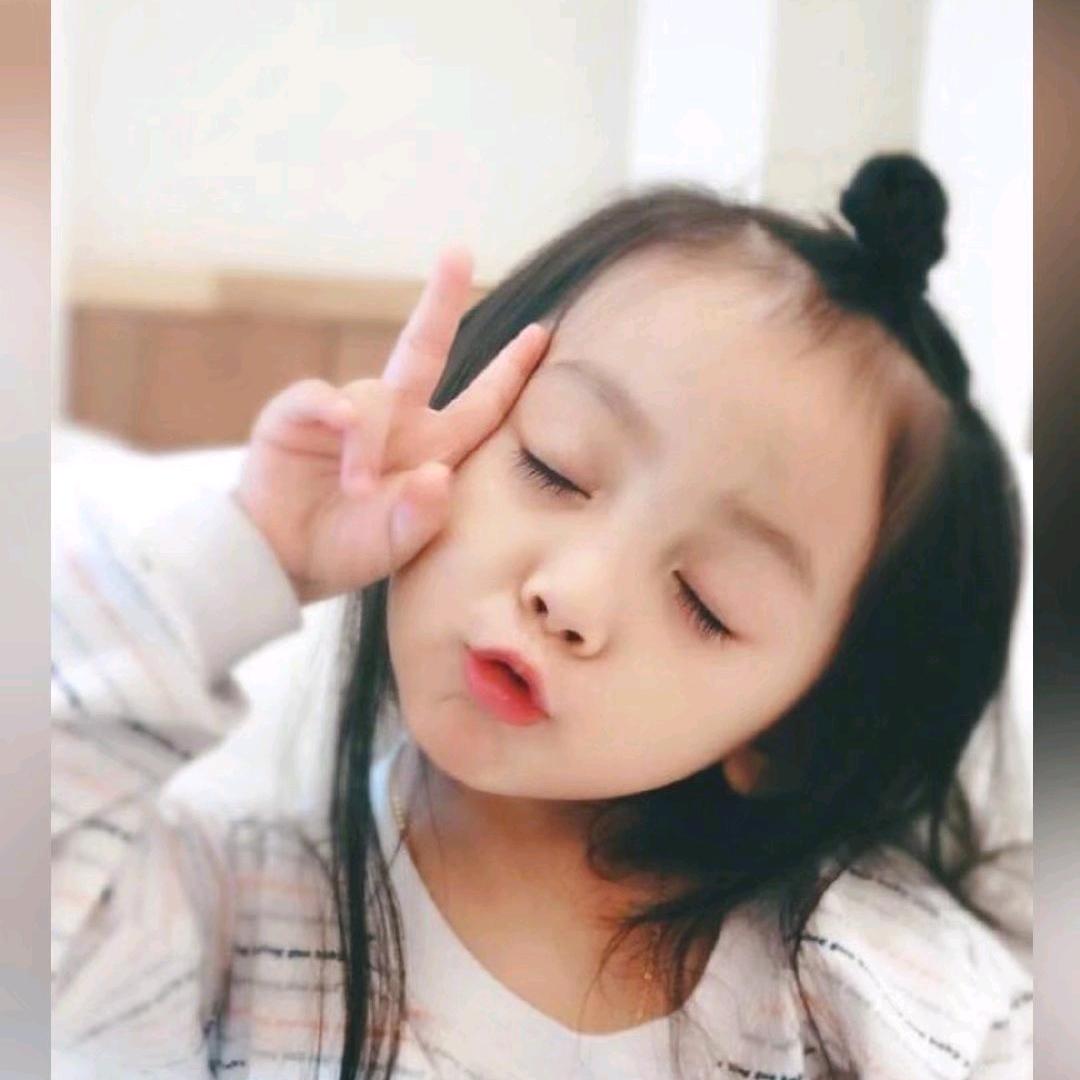 高不懂