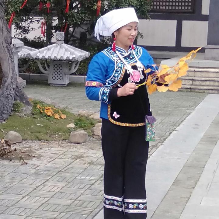 自由飞翔