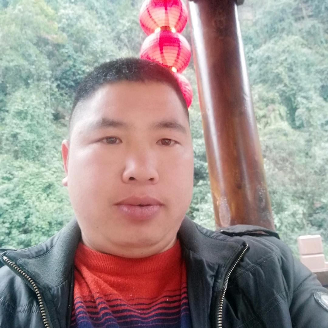 杨哥