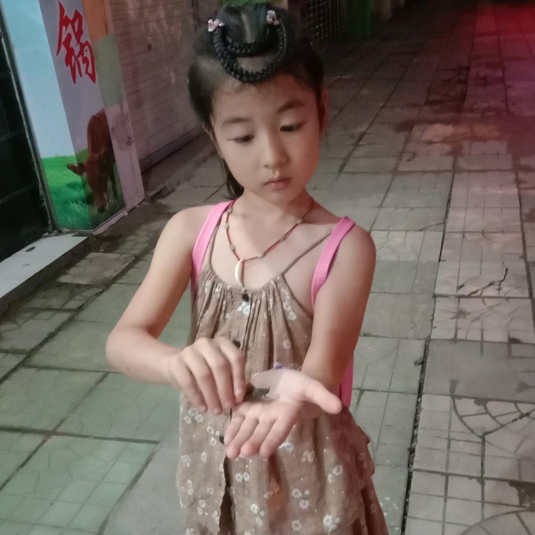 美好人生