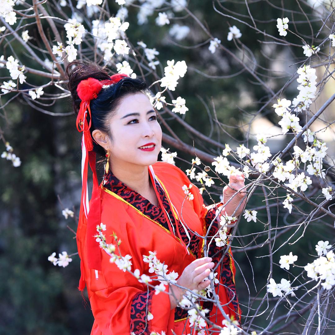杨杨