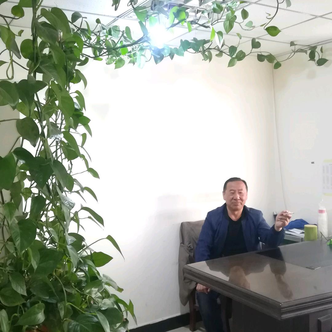 王本虎