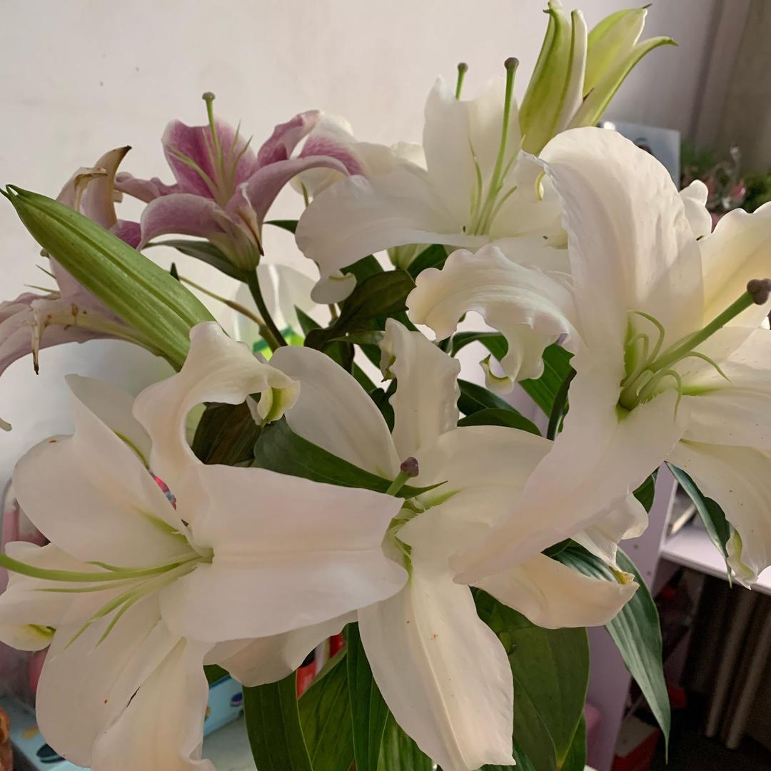 牵·一缕阳光